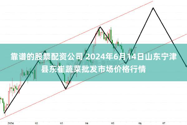 靠谱的股票配资公司 2024年6月14日山东宁津县东崔蔬菜批发市场价格行情