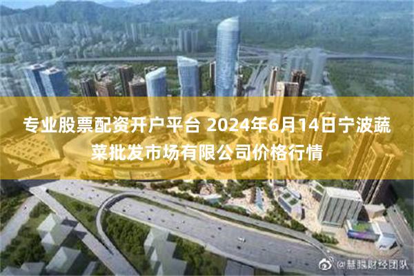 专业股票配资开户平台 2024年6月14日宁波蔬菜批发市场有限公司价格行情