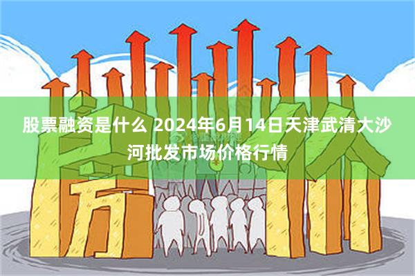 股票融资是什么 2024年6月14日天津武清大沙河批发市场价格行情