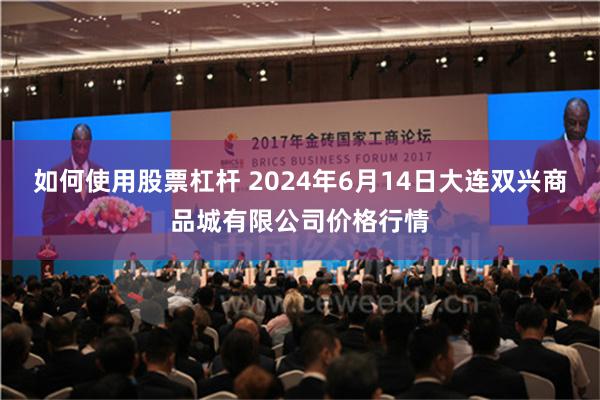 如何使用股票杠杆 2024年6月14日大连双兴商品城有限公司价格行情