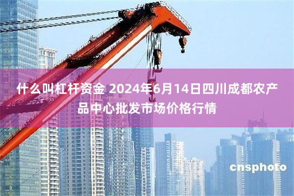 什么叫杠杆资金 2024年6月14日四川成都农产品中心批发市场价格行情