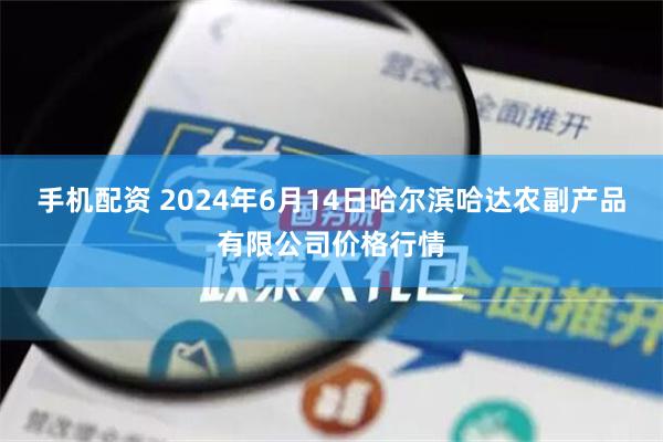 手机配资 2024年6月14日哈尔滨哈达农副产品有限公司价格行情