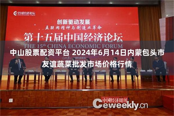 中山股票配资平台 2024年6月14日内蒙包头市友谊蔬菜批发市场价格行情