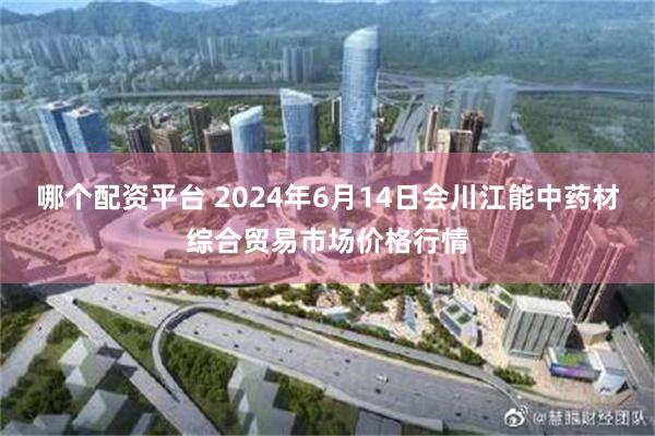 哪个配资平台 2024年6月14日会川江能中药材综合贸易市场价格行情