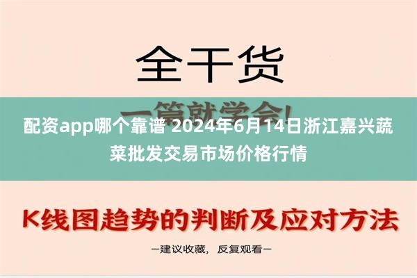 配资app哪个靠谱 2024年6月14日浙江嘉兴蔬菜批发交易市场价格行情