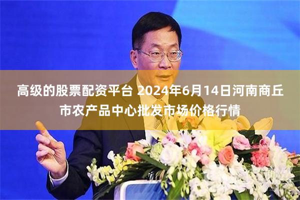 高级的股票配资平台 2024年6月14日河南商丘市农产品中心批发市场价格行情