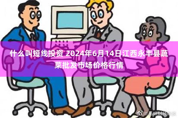 什么叫短线投资 2024年6月14日江西永丰县蔬菜批发市场价格行情