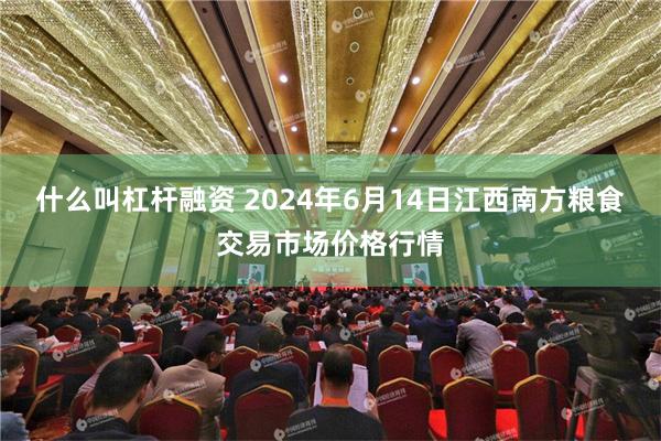 什么叫杠杆融资 2024年6月14日江西南方粮食交易市场价格行情