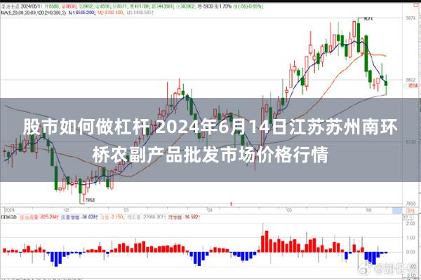 股市如何做杠杆 2024年6月14日江苏苏州南环桥农副产品批发市场价格行情