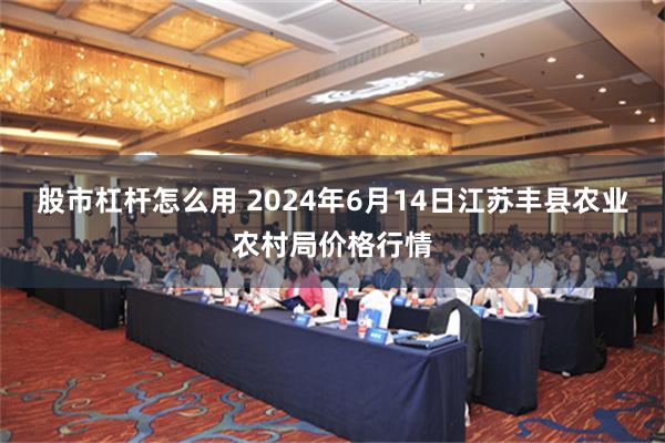 股市杠杆怎么用 2024年6月14日江苏丰县农业农村局价格行情