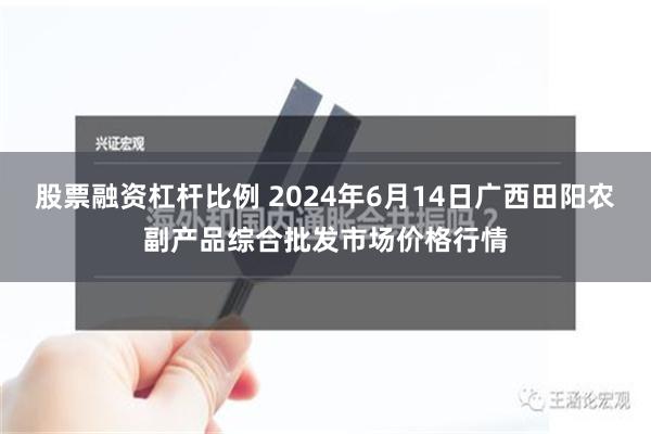 股票融资杠杆比例 2024年6月14日广西田阳农副产品综合批发市场价格行情