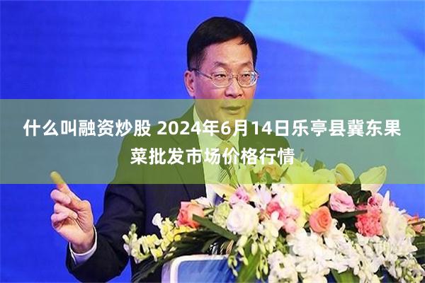 什么叫融资炒股 2024年6月14日乐亭县冀东果菜批发市场价格行情