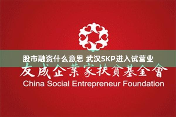 股市融资什么意思 武汉SKP进入试营业