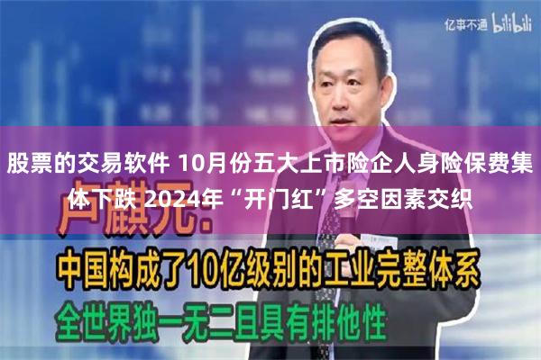 股票的交易软件 10月份五大上市险企人身险保费集体下跌 2024年“开门红”多空因素交织