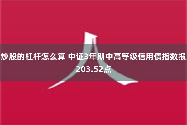 炒股的杠杆怎么算 中证3年期中高等级信用债指数报203.52点