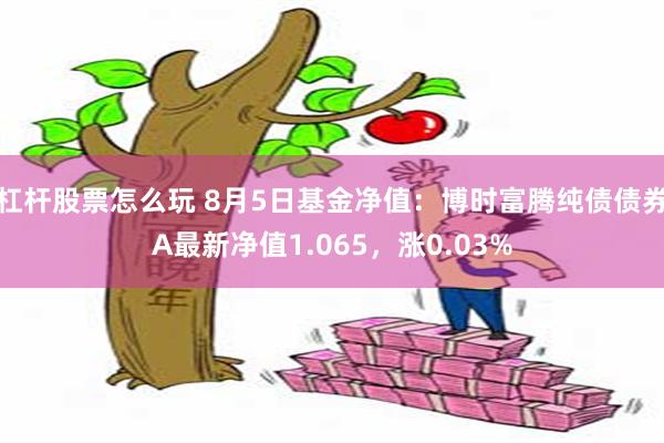 杠杆股票怎么玩 8月5日基金净值：博时富腾纯债债券A最新净值1.065，涨0.03%