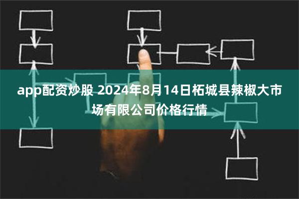 app配资炒股 2024年8月14日柘城县辣椒大市场有限公司价格行情