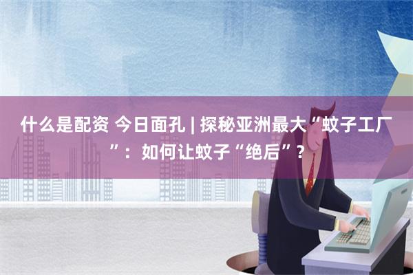 什么是配资 今日面孔 | 探秘亚洲最大“蚊子工厂”：如何让蚊子“绝后”？