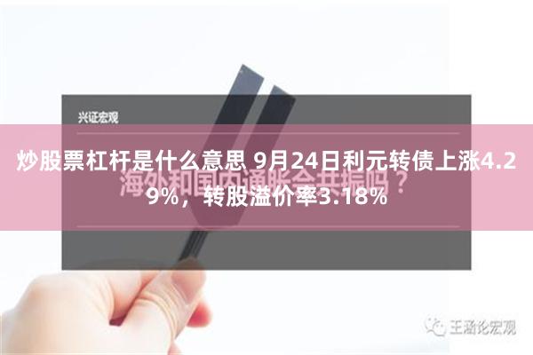 炒股票杠杆是什么意思 9月24日利元转债上涨4.29%，转股溢价率3.18%