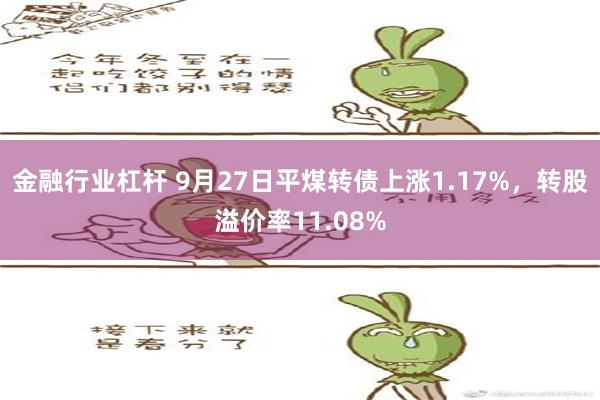 金融行业杠杆 9月27日平煤转债上涨1.17%，转股溢价率11.08%