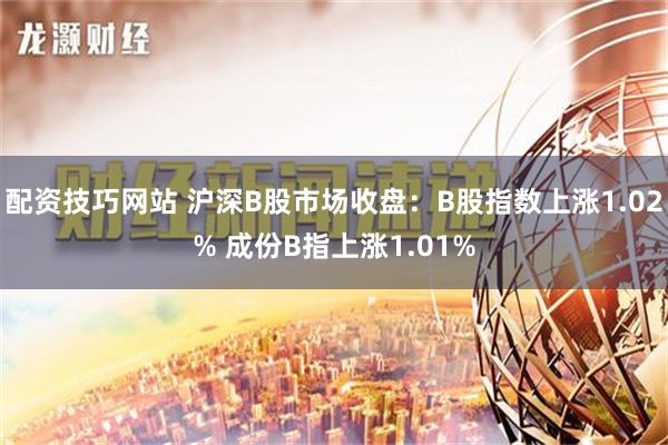 配资技巧网站 沪深B股市场收盘：B股指数上涨1.02% 成份B指上涨1.01%