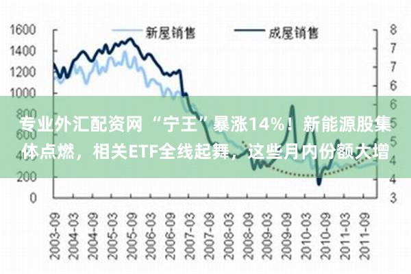 专业外汇配资网 “宁王”暴涨14%！新能源股集体点燃，相关ETF全线起舞，这些月内份额大增