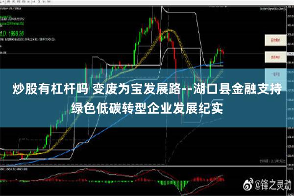 炒股有杠杆吗 变废为宝发展路--湖口县金融支持绿色低碳转型企业发展纪实