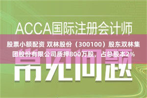 股票小额配资 双林股份（300100）股东双林集团股份有限公司质押800万股，占总股本2%