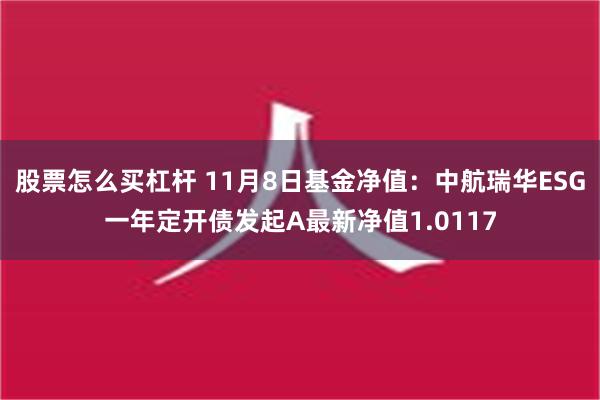 股票怎么买杠杆 11月8日基金净值：中航瑞华ESG一年定开债发起A最新净值1.0117