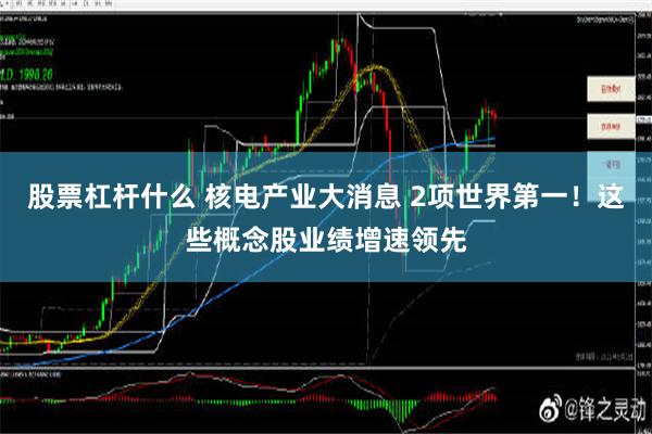 股票杠杆什么 核电产业大消息 2项世界第一！这些概念股业绩增速领先