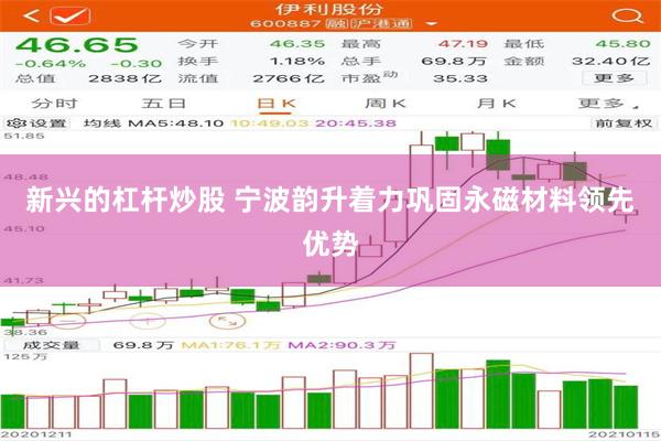 新兴的杠杆炒股 宁波韵升着力巩固永磁材料领先优势