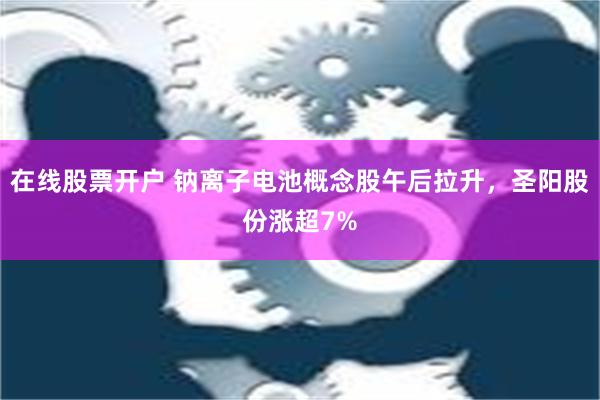 在线股票开户 钠离子电池概念股午后拉升，圣阳股份涨超7%