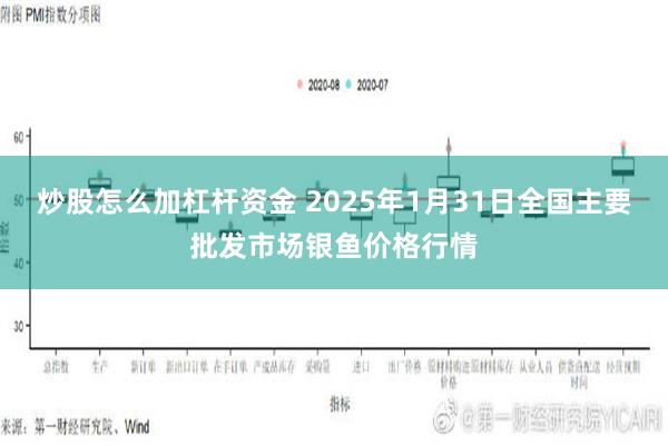 炒股怎么加杠杆资金 2025年1月31日全国主要批发市场银鱼价格行情