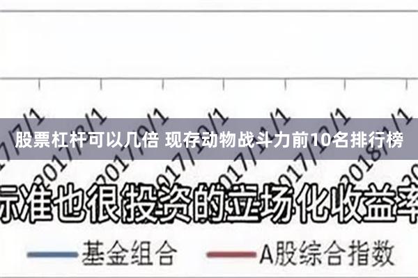 股票杠杆可以几倍 现存动物战斗力前10名排行榜